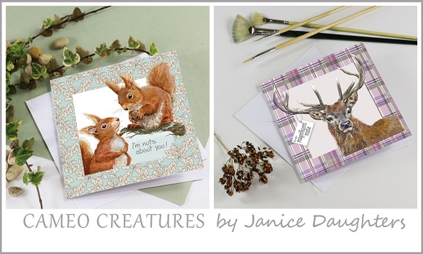 New greetings card collection