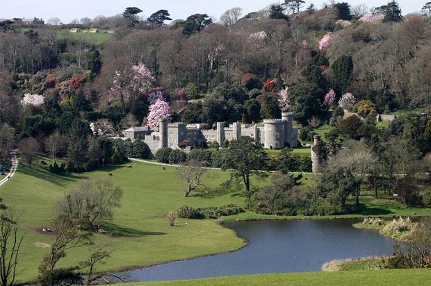 Caerhays Castle reopen award-winning gardens to the public