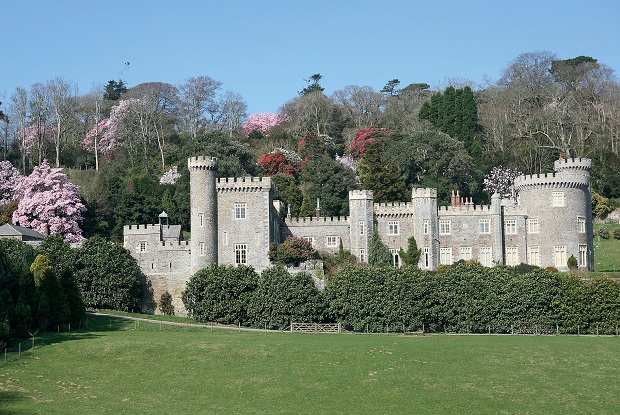 Spotlight on... East Cornwall & Plymouth