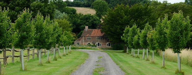 Spotlight on South Wiltshire