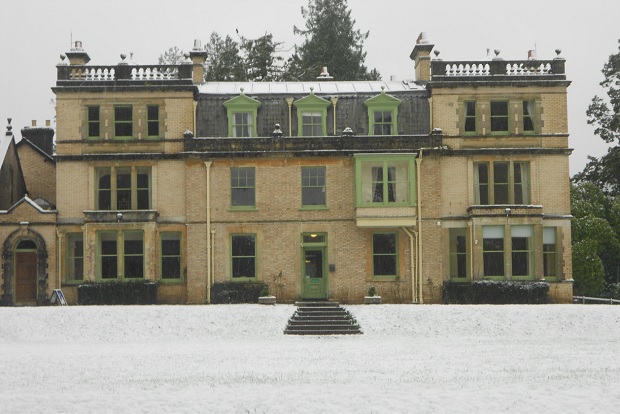 Winter wonderland