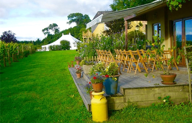 Glyndwr Vineyard are now offering gift vouchers