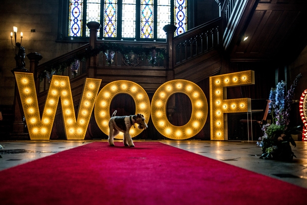 Canine Wedding at Northumberland's Matfen Hall