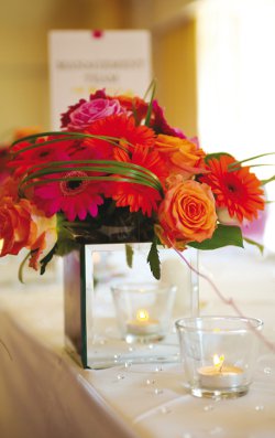 Bright and beautiful blooms