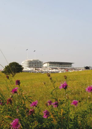 Epsom and Ewell