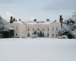 Winter wonderland