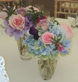 Theatrical blooms