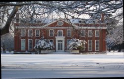 Winter wonderland