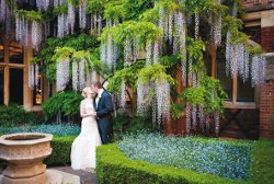 Glorious gardens