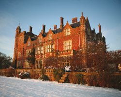 Winter wonderland