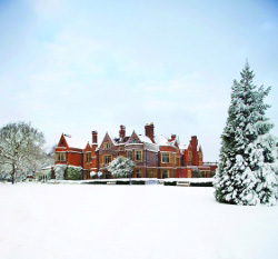 Weddings in a winter wonderland