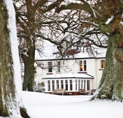 Winter wonderland