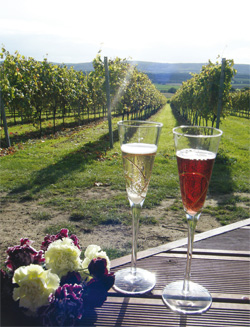 A toast to the bride and groom