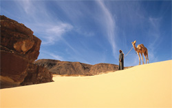 Desert dreams