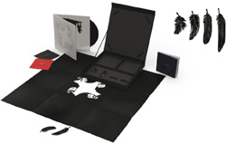 Dower & Hall designs feathers for Kasabian