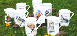 Feathered friends