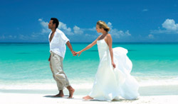 Top Drawer Holidays