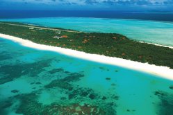 Precious paradise