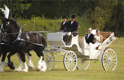 Win a horse-drawn carriage for your big day worth £750