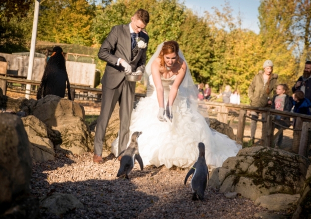 Plan ahead with Twycross Zoo wedding showcase